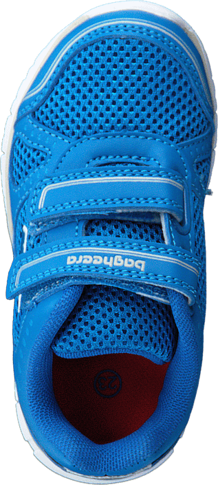 Bagheera - Gemini Blue/orange