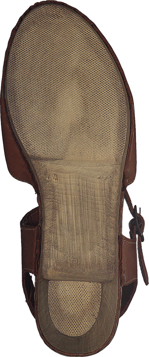 Ten Points - Atena 741001 Brown