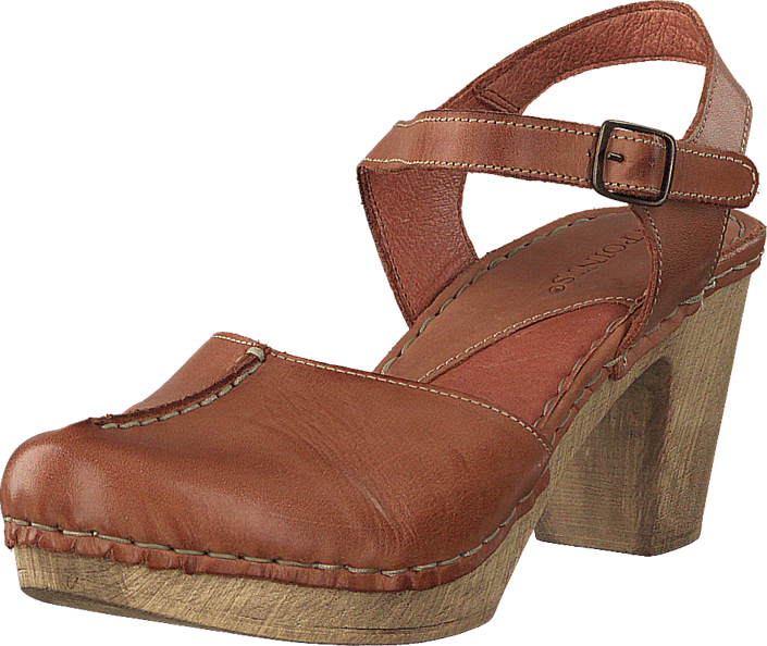 Ten Points - Atena 741001 Brown