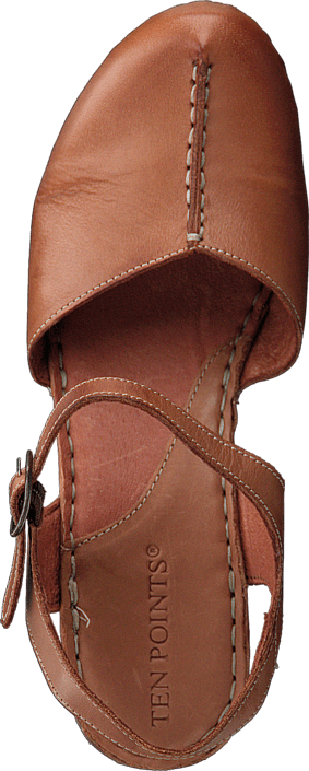 Ten Points - Atena 741001 Brown