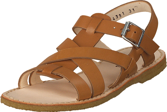 Angulus - 4391-101-1787 Cognac
