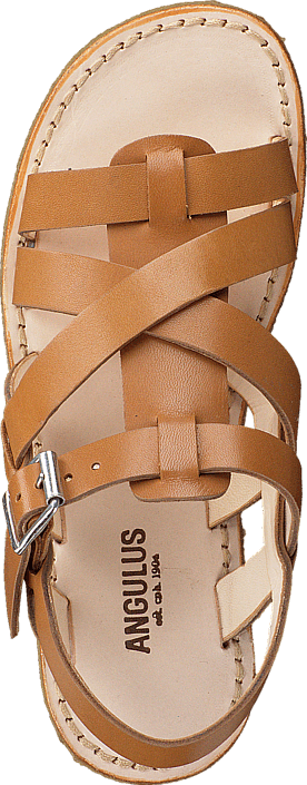 Angulus - 4391-101-1787 Cognac