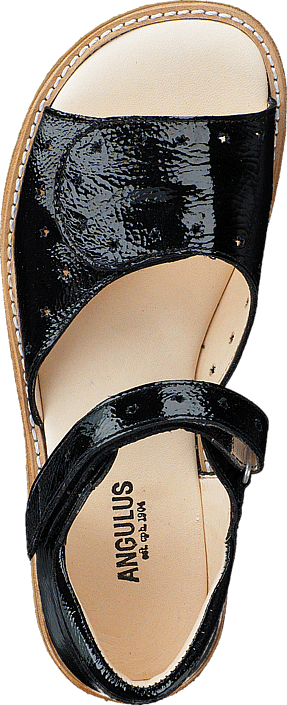 Angulus - 5216-101-1310 Black