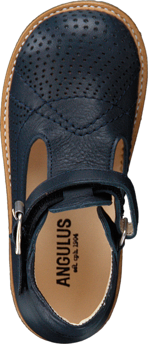Angulus - 2285-101-1530 Navy