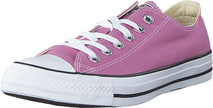 Converse - All Star-Ox Powder Pur