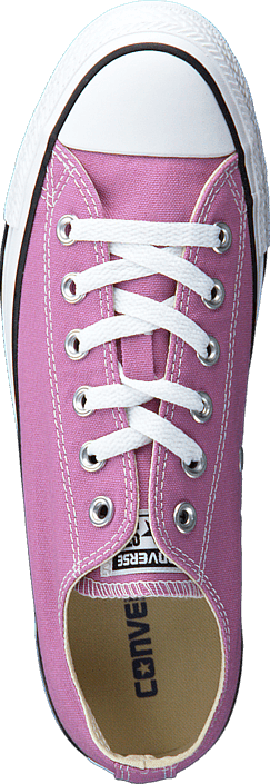 Converse - All Star-Ox Powder Pur
