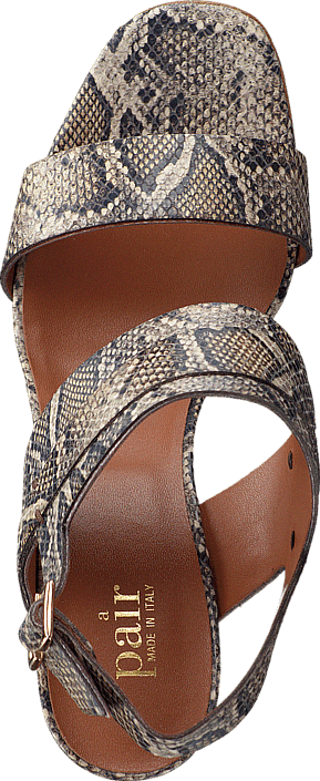 A Pair - 3206 Pitone Roccia