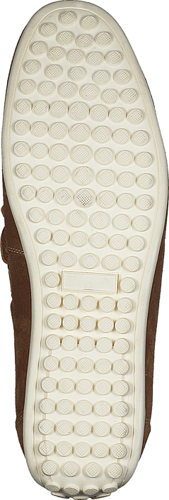 Dahlin - Sioux 06 Beige