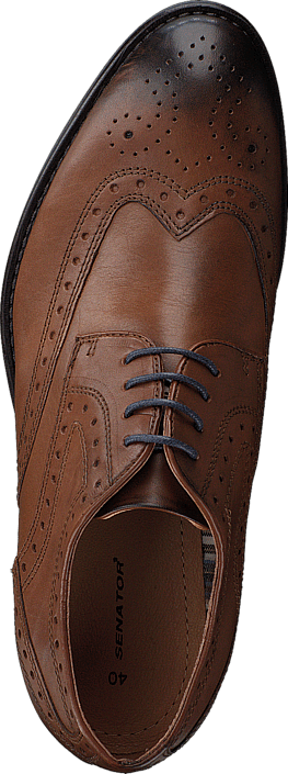 Senator - 479-4536 Cognac