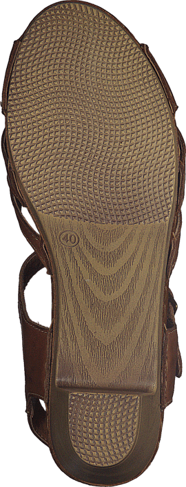 Wildflower - Templer 31 Tan