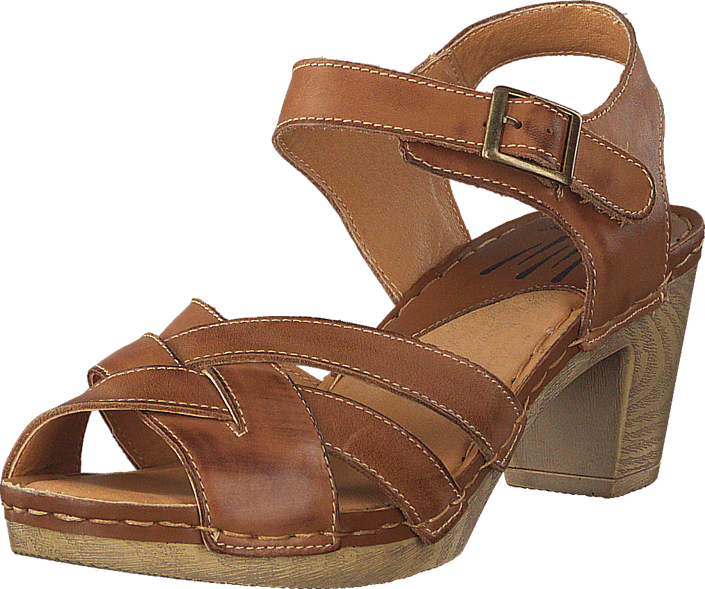 Wildflower - Templer 31 Tan