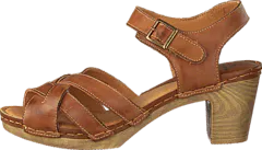 Wildflower - Templer 31 Tan