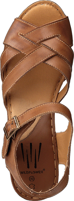 Wildflower - Templer 31 Tan