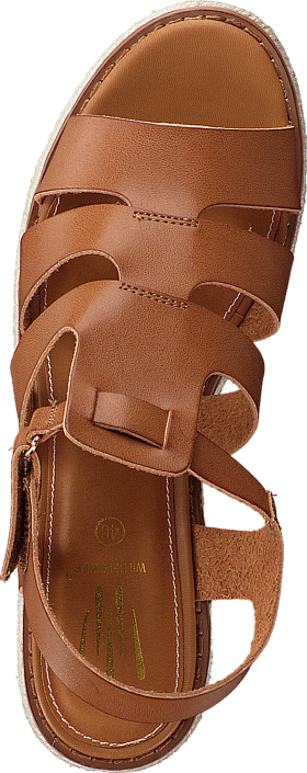 Wildflower - Inde 04 Brown