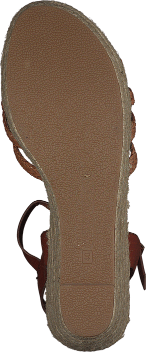 Wildflower - Roide 04 Brown
