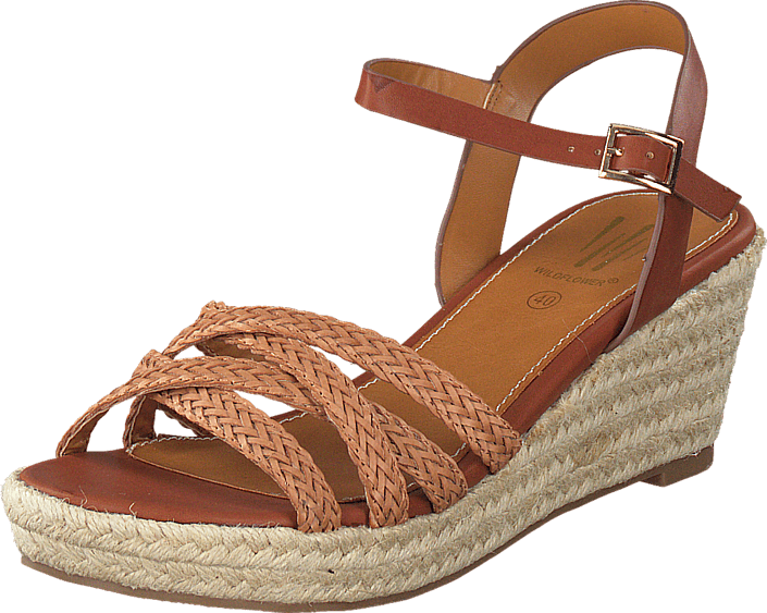 Roide 04 Brown