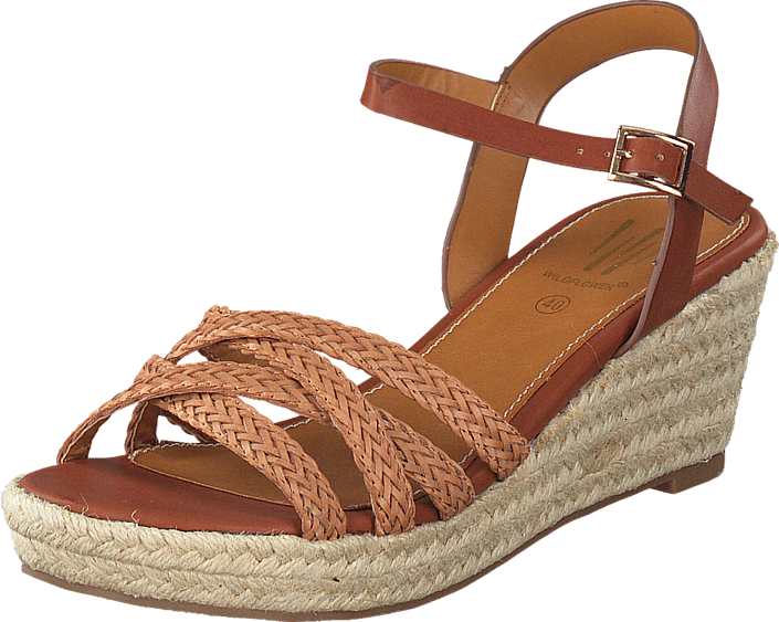Wildflower - Roide 04 Brown