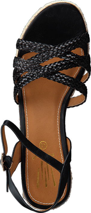 Wildflower - Roide 06 Black