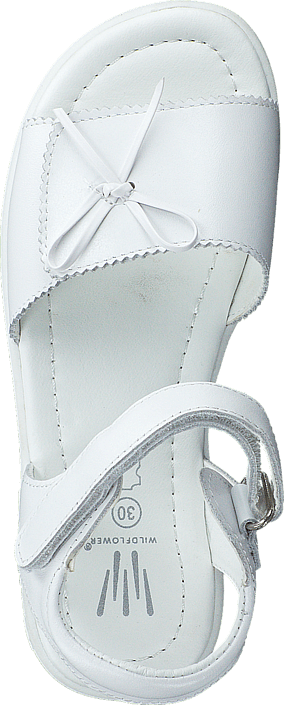 Wildflower - Fares 01 White