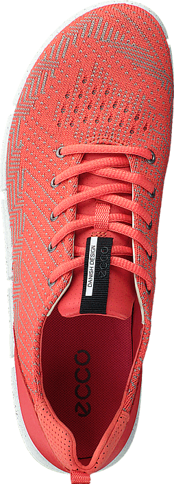 Ecco - Intrinsic Coral