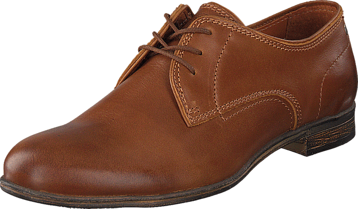 Sneaky Steve - Markham Low Cognac