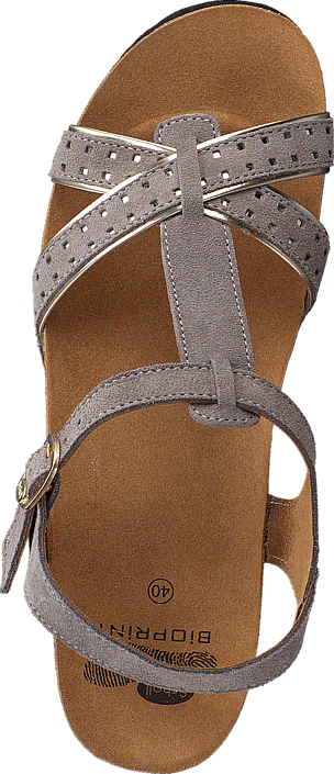 Scholl - Ramal Grey