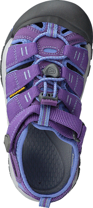 Keen - Newport H2-Kids Purple Heart/Periwinkle