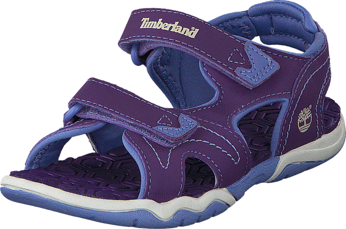 Adventure Seeker 2 Strap Purple/Periwinkle