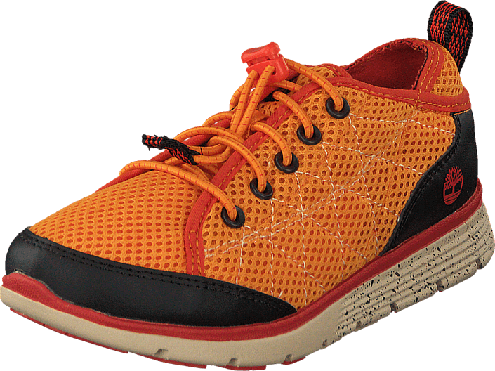 Timberland - Glidden Camp Orange