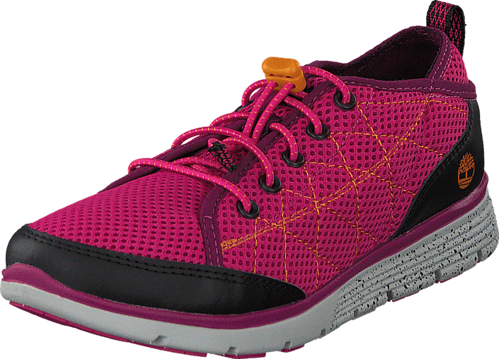 Timberland - Glidden Camp Berry