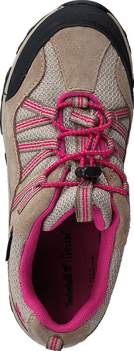 Timberland - Trail Force L/F GTX Bunge Greige