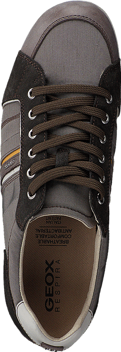 Geox - Houston Dove Grey/Mud