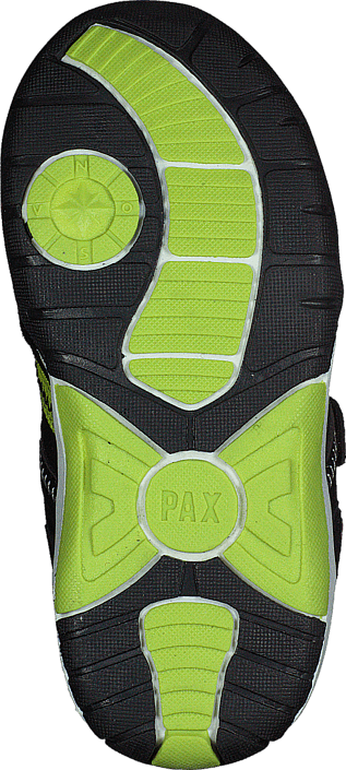 Pax - Pocka Lime