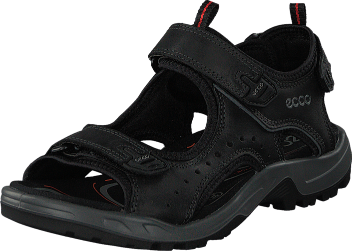 Buy Ecco Offroad M Black Shoes Online 
