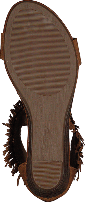 Xti - 53576 Antelina Camel
