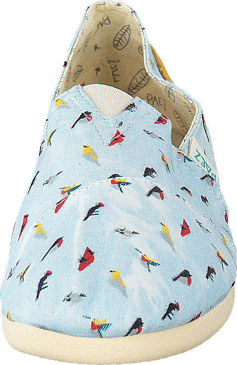 Eva Multicolor (Birds)