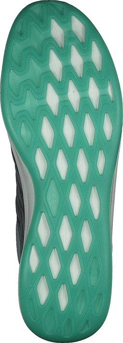 Ecco - Exceed Women Titanium