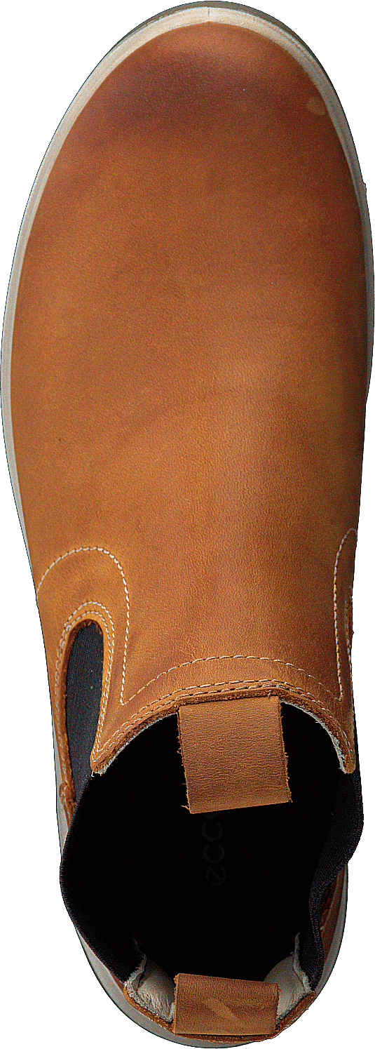 Ecco gora amber clearance