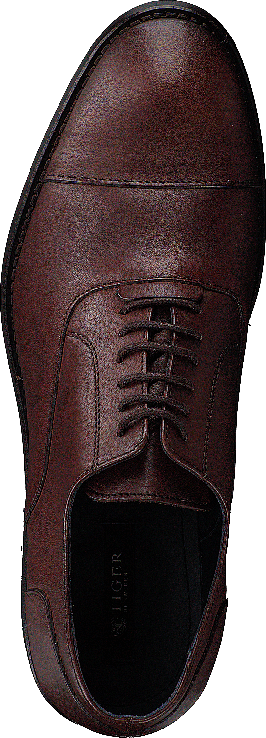 Harry 11R Teak Brown