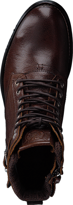 Sneaky Steve - Shed Brown Buffalo