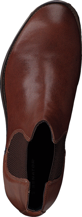 Senator - 497-5400 Cognac