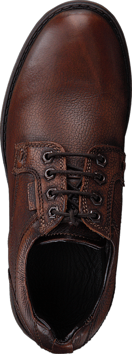 Senator - 497-8105 Cognac