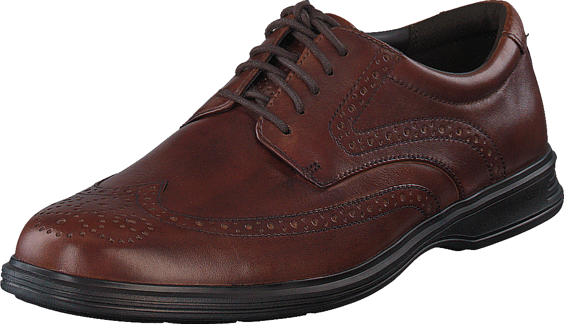 Dressports 2 Plus Wingtip New Brown