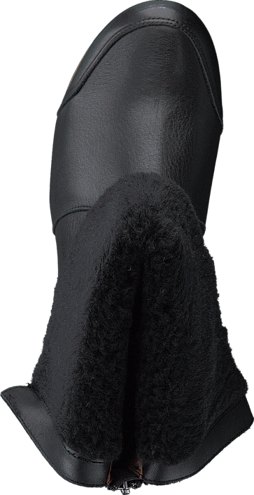 Calou - Stefania Black