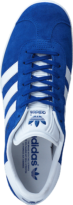 gazelle royal blue