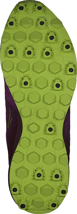 Icebug - Anima5 W BUGrip Poison/Mulberry