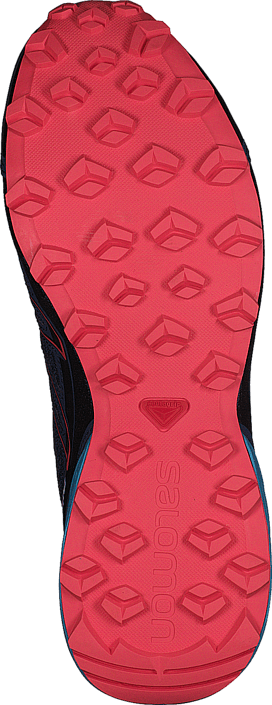 Salomon - Speedcross Vario GTX® W Slateblue/Blue