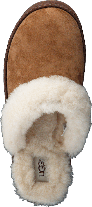UGG - Aira Chestnut(CHE)