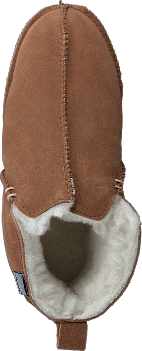 Axelda - Innsbruck K Chestnut