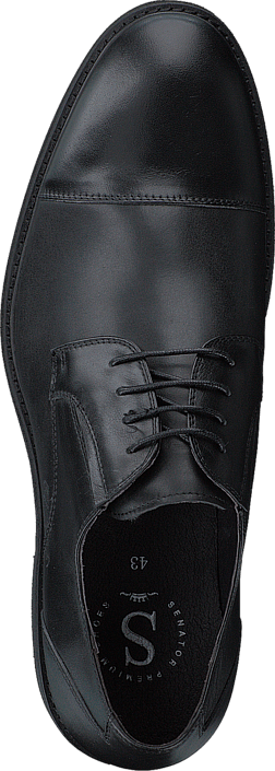 Senator - 431-1531 Premium Black